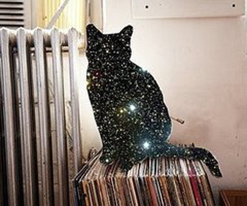Mindfulness universe cat