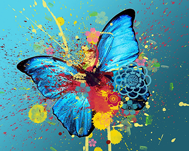 Mindfulness - virtues Butterflies