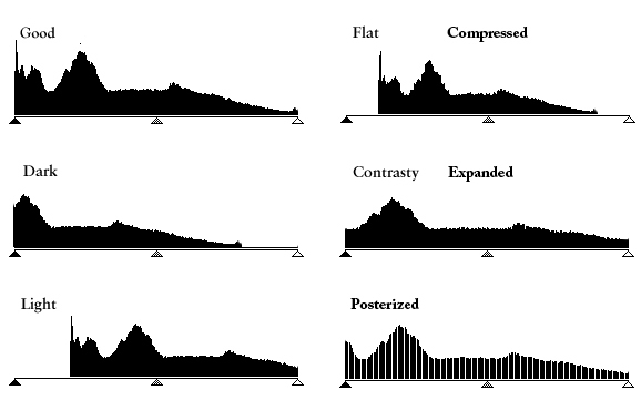 A bunch of histograms