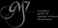 GNSI member logo