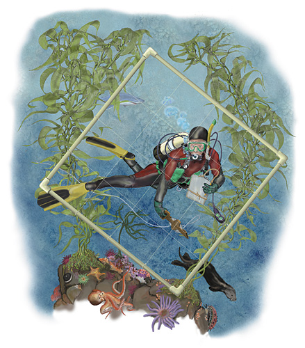 research diver