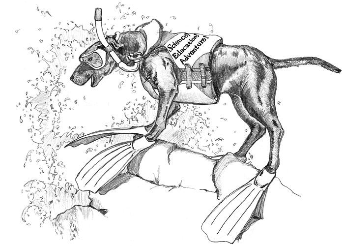 sea lab mascot